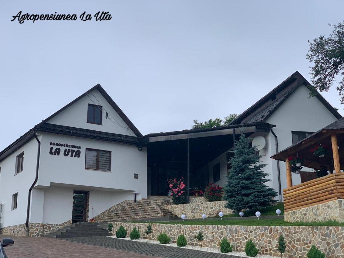 Agropensiunea La Uta Rebrisoara 외부 사진