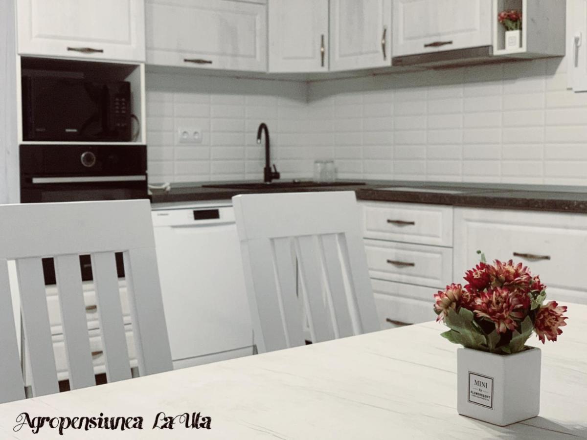 Agropensiunea La Uta Rebrisoara 외부 사진